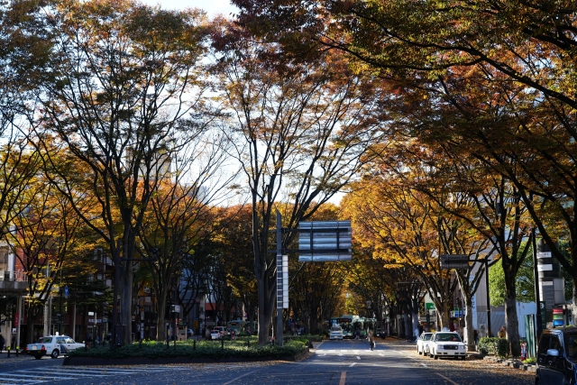 2i2(ニーニ)メンバーの出身地や高校は?名前や年齢などプロフィールや経歴まとめ!