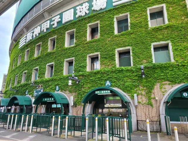 あいみょんの実家は西宮市の武庫川近くでお金持ち?噂の真相を調査!