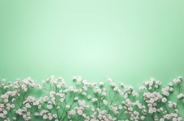 【2025年】リグロス（ホロライブ）メンバー人気順！人気投票の結果と一番人気なのは誰？登録者の推移まとめ！
