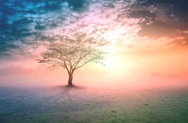 hololiveリグロスの前世情報まとめ!中の人の年齢は?リーダーは誰?素顔(顔バレ)についても探る!