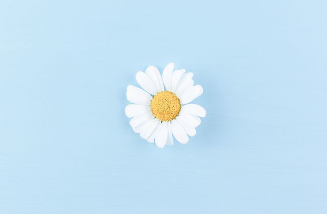 SnowMan(スノーマン)の性格いいランキング!どんな性格?みんな性格いいって本当なの?