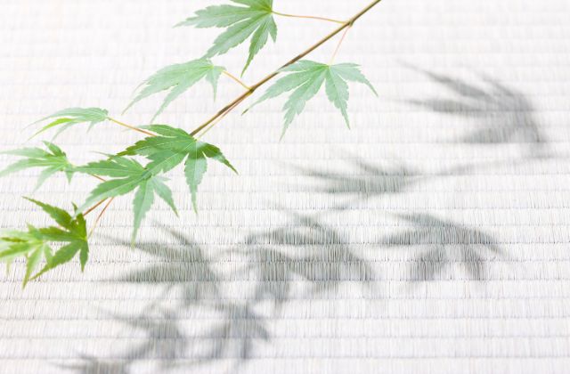 ハンバートハンバートって何者？名前の由来や意味！メンバー年齢や出身などプロフィールや代表曲有名曲を紹介！