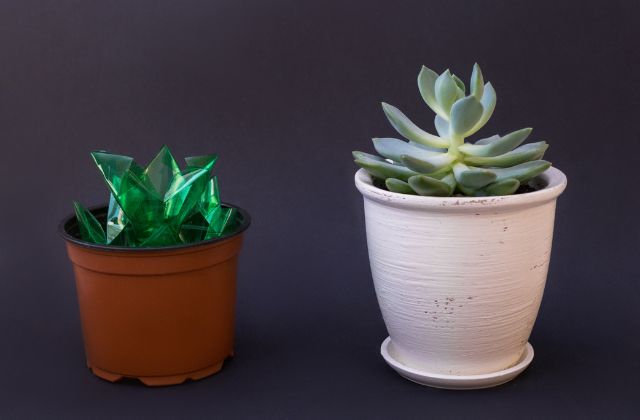 Omoinotake藤井レオの兄弟は柳楽優弥？似てるのは親戚だから？関係があるのか調査