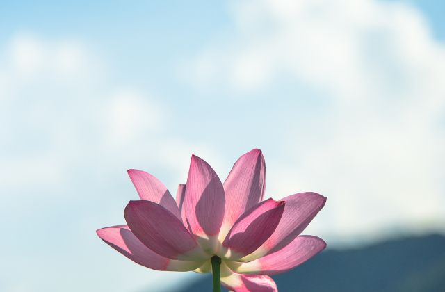 Number_i岸優太ジュニア時代のスター伝説まとめ!人気グループでのエピソードを徹底解説