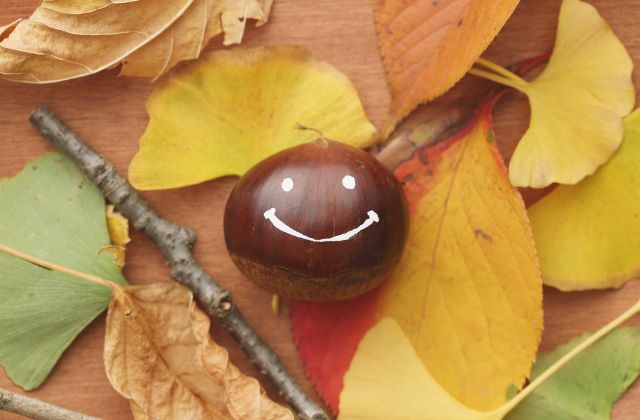 緑黄色社会の長屋晴子に結婚の噂!相手の彼氏は誰?子供はいる?金井正人との関係について!