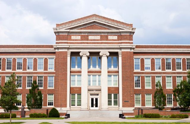 トラジャ川島如恵留の出身大学は？偏差値や卒業した学部がすごい！大学院への進学まで徹底解説