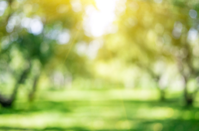 トラジャ松田元太の実家のお金持ちエピソード！不動産や父親の職業、出身中学や祖父の道場まで徹底調査