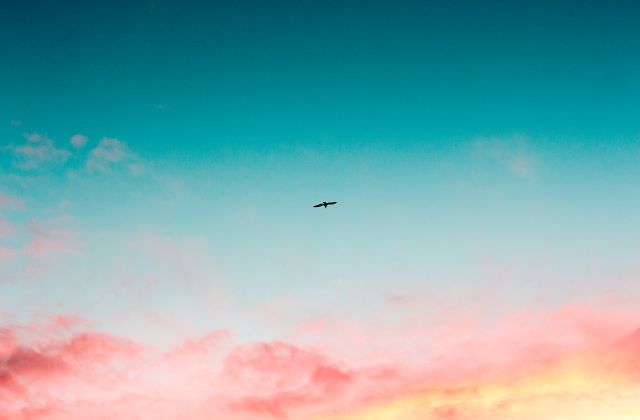 トラジャ松倉海斗の現在の彼女は誰？歴代熱愛まとめ！匂わせもあった？結婚願望はあるの？