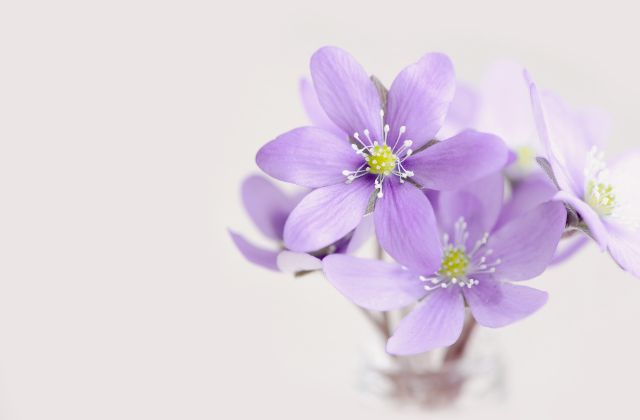 トラジャ松倉海斗の現在の彼女は誰？歴代熱愛まとめ！匂わせもあった？結婚願望はあるの？