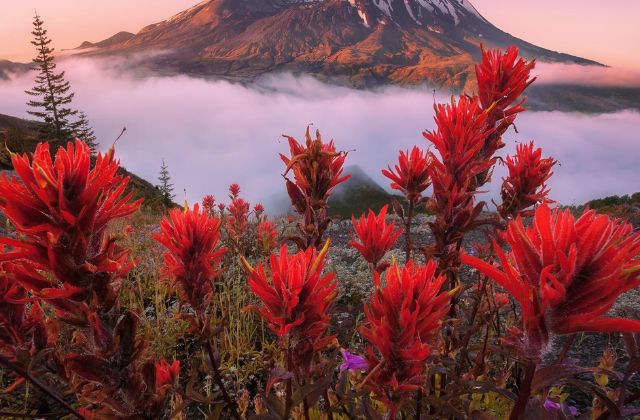 トラジャ松倉海斗の現在の彼女は誰？歴代熱愛まとめ！匂わせもあった？結婚願望はあるの？