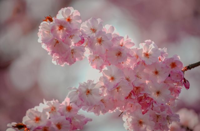 トラジャ松倉海斗の好きなタイプ！好きな髪型や女の子の服装は？年下好き？意外な一面も明かす恋愛観徹底解剖