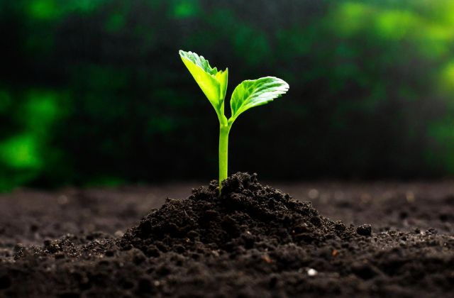 トラジャ松倉海斗は実家が湘南のお金持ち？父親の職業や家族構成について！出身中学や地元エピソードまで徹底調査