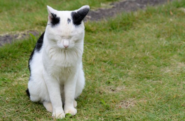 SnowMan不祥事一覧！謝罪したことも？実は素行悪い？いじめの噂などやばい話を徹底調査