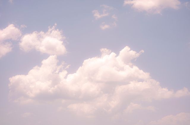 トラビスジャパン(トラジャ) 身長低い?身長サバ読みの噂!体重は?スタイルいいのに華がないってなんで!