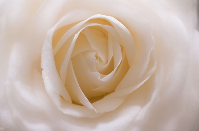 トラビスジャパン(トラジャ)彼女事情を徹底調査！松田元太・松倉海斗・川島如恵留・宮近海斗・中村海人の恋愛エピソードまとめ