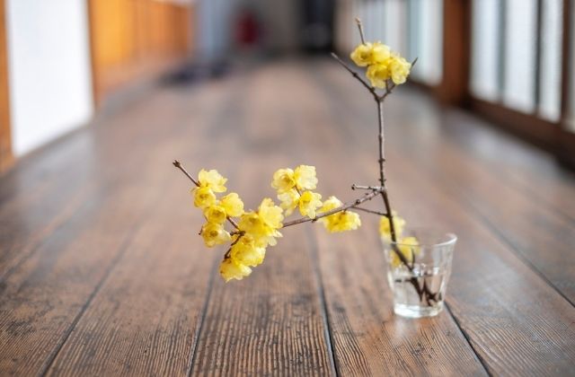 超特急のフリーライブがすごい！いつ開催？何時から？時間・抽選・整理券・優先エリアまで徹底解説