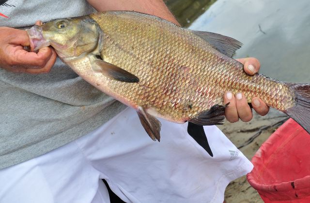 Jo0ji(ジョージ)の実家は漁師の家!父親母親はどんな人?働いているのはどこの漁港?