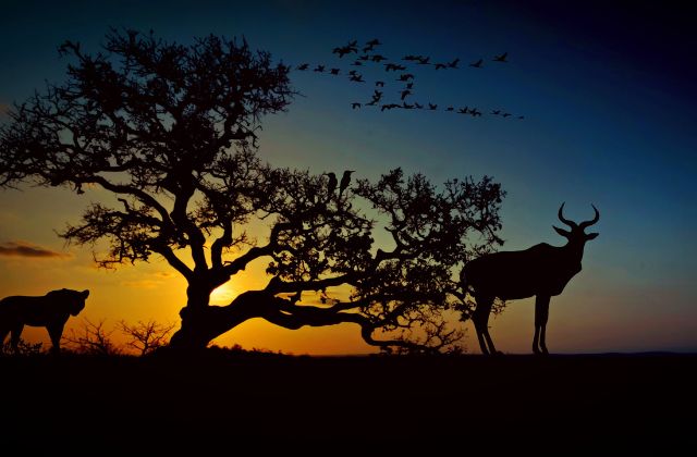 Jo0ji(ジョージ)の出身高校や大学の情報について!年齢や本名などのプロフィールもチェック!いったい何者?