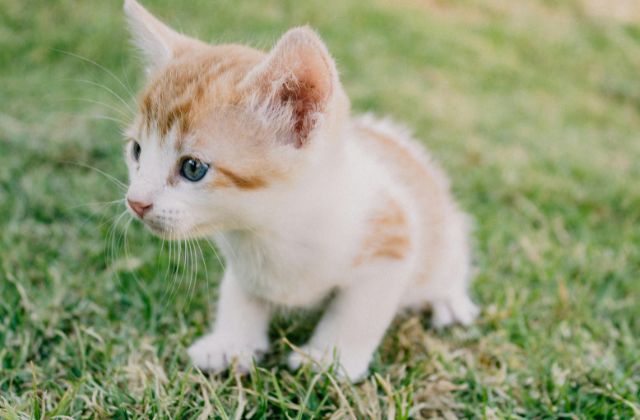 SnowMan可愛いランキング!思わずキュンな可愛い担当は?エピソードから判明の「あざといメンバー」「1番かわいいメンバー」は誰!