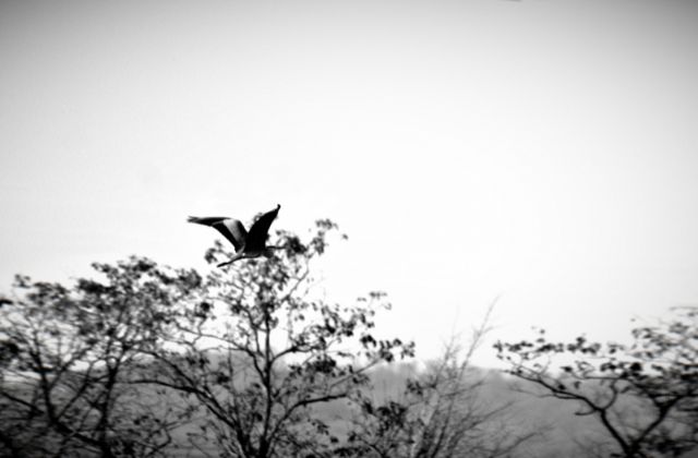 SnowMan不仲コンビの噂！本当に仲悪いの？ビジネス仲良しや後輩いじめまで「不仲説」の真相を徹底解説