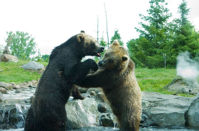 SnowMan不仲コンビの噂！本当に仲悪いの？ビジネス仲良しや後輩いじめまで「不仲説」の真相を徹底解説