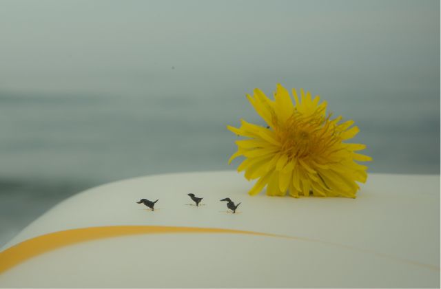 SnowMan仲良し相関図！仲良しペア＆エピソードまとめ！プライベートでも仲がいいのは誰？6人時代の関係性もチェック