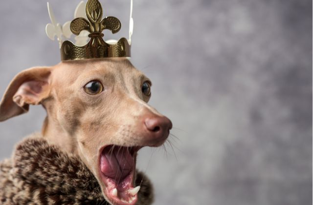 SnowManの面白いエピソードまとめました！天然エピや喧嘩の話、神ファンサや体調不良エピソードなど一挙紹介