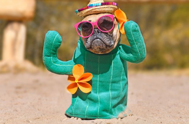 SnowManの面白いエピソードまとめました！天然エピや喧嘩の話、神ファンサや体調不良エピソードなど一挙紹介