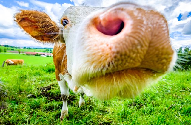 SnowManの面白いエピソードまとめました！天然エピや喧嘩の話、神ファンサや体調不良エピソードなど一挙紹介