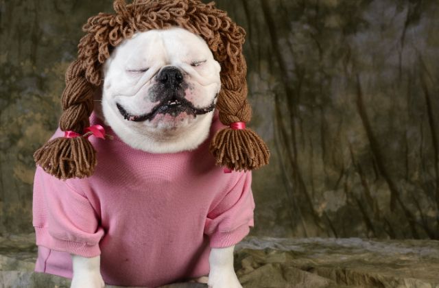 SnowManの面白いエピソードまとめました！天然エピや喧嘩の話、神ファンサや体調不良エピソードなど一挙紹介