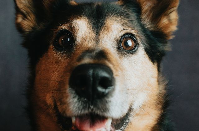 SnowManイケメンランキング2026！「イケメンいない」の真相は？真のイケてるメンバーを顔の系統＆顔タイプで徹底解説