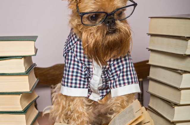 SnowManメンバーの頭いい順・頭悪い順どうなる!学歴ランキングで判明の『高学歴トリオ』と『大卒メンバー』が衝撃