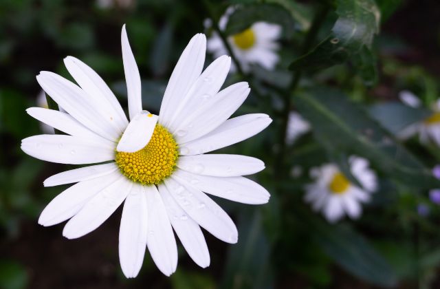 SnowManの嫌いなメンバーランキング!嫌われてるメンバーなんているの?「嫌いになった」「気持ち悪い」の理由とは