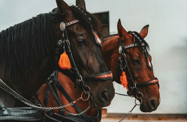 SnowManの実家別お金持ちランキング！真のおぼっちゃまは誰？豪邸エピソードや母子家庭事情まで徹底紹介