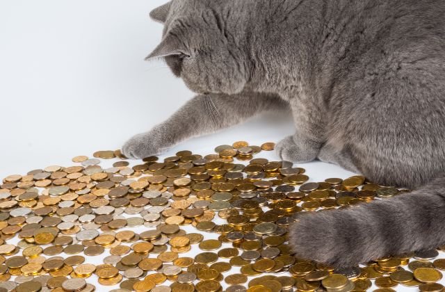 SnowManの実家別お金持ちランキング！真のおぼっちゃまは誰？豪邸エピソードや母子家庭事情まで徹底紹介