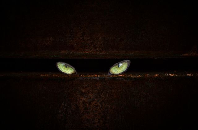 SnowManの怖いエピソードまとめ！「怒ると怖い人ランキング」が衝撃！黒歴史や後輩いじめの真相を検証