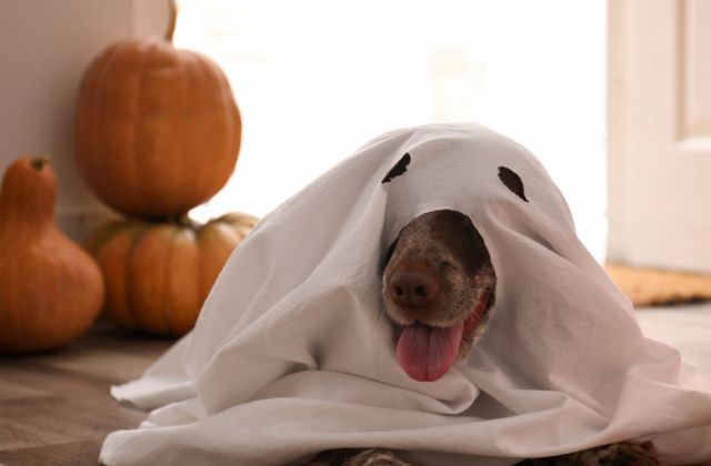 SnowManの怖いエピソードまとめ！「怒ると怖い人ランキング」が衝撃！黒歴史や後輩いじめの真相を検証