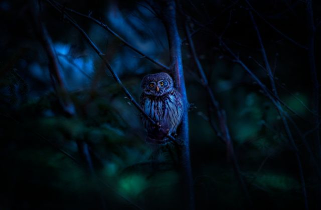 SnowManの怖いエピソードまとめ！「怒ると怖い人ランキング」が衝撃！黒歴史や後輩いじめの真相を検証