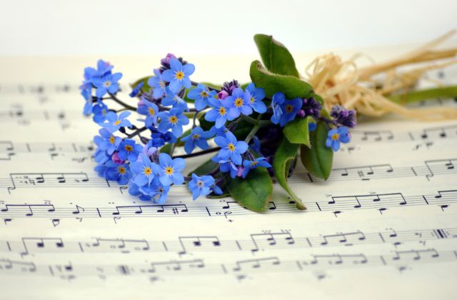 目黒蓮の好きな曲！好きなアーティストはヨルシカなの？カラオケ十八番も大調査