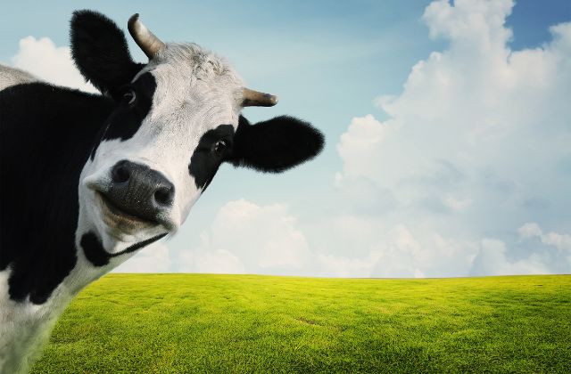 Milk(M!lkミルク)のユニット名コンビ名＆3人組一覧！由来やあだ名は？人気ペア・不仲コンビまとめ